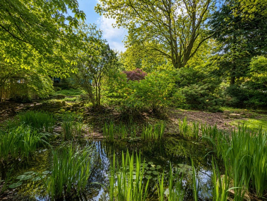 Gartenteich Zweifamilienhaus H�llhorst