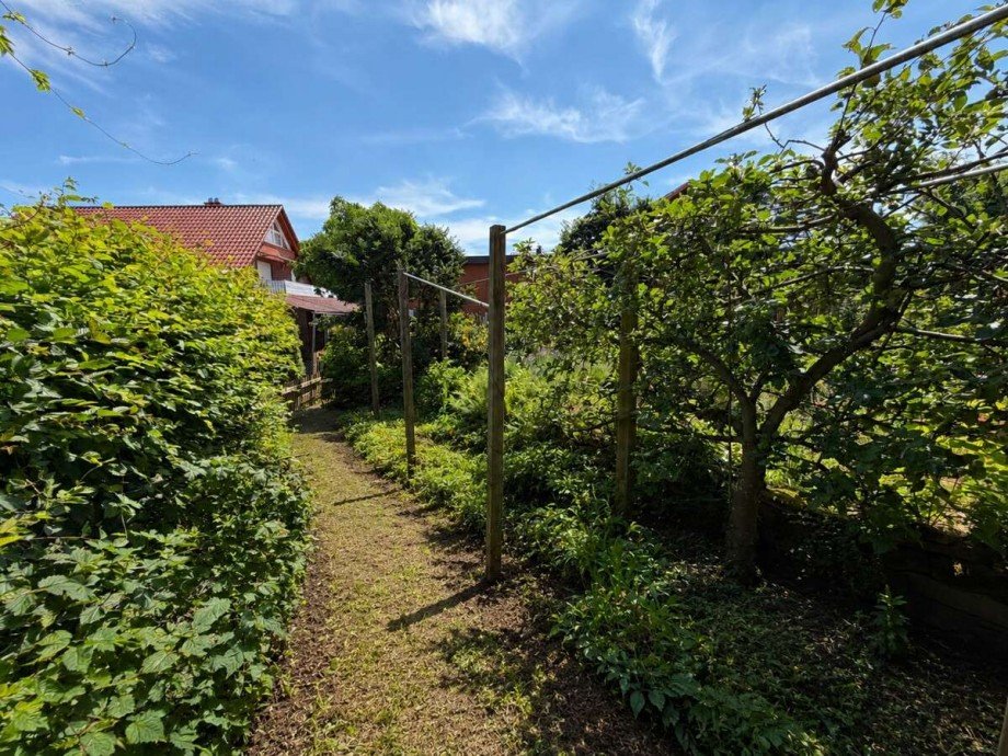 Hochbeete Einfamilienhaus Rehburg-Loccum