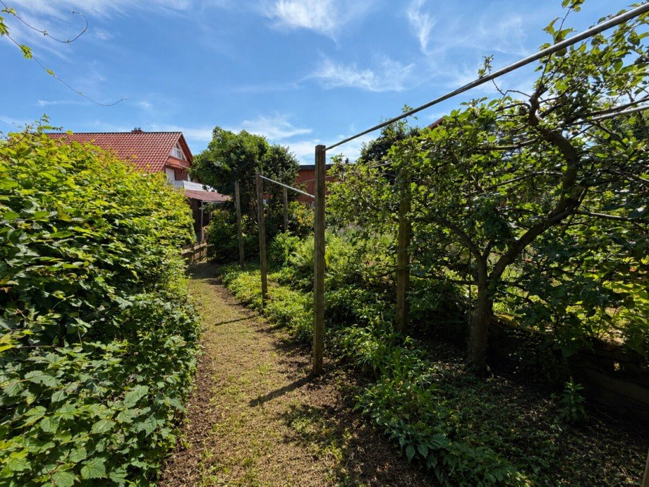 Hochbeete Einfamilienhaus Rehburg-Loccum